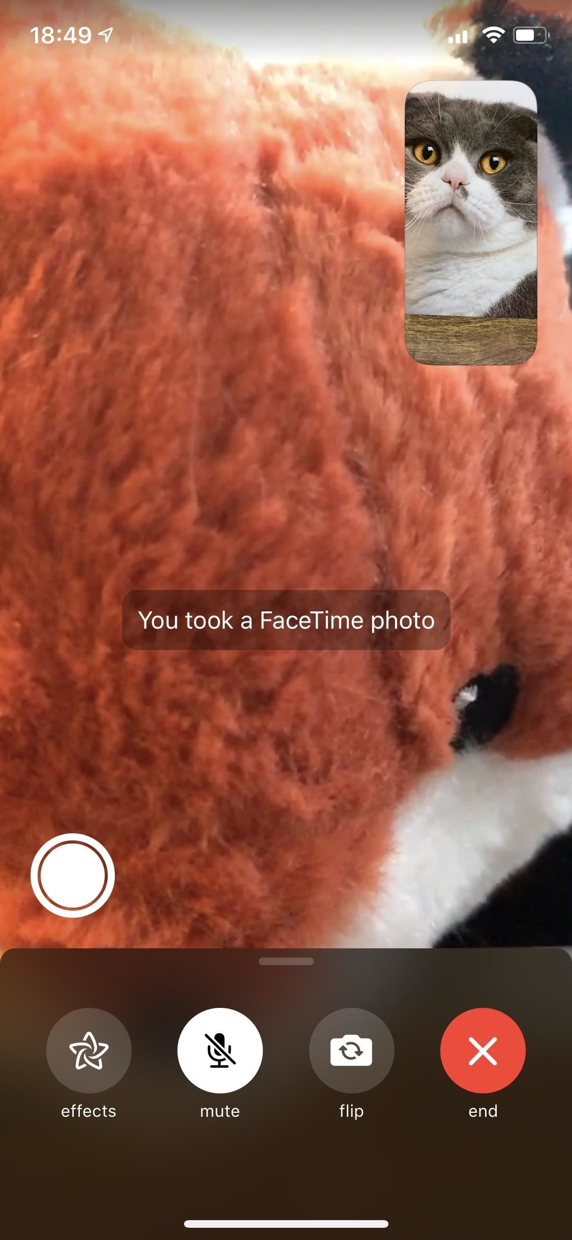 11-tips-for-facetime-chatting-with-friends-family-from-your-iphone-w1456-19 11 Tips for FaceTime Chatting with Friends & Family from Your iPhone