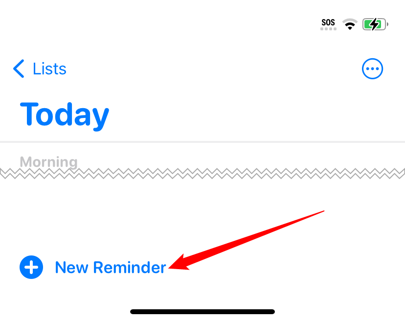 Tap 'New Reminder' to create a new reminder.