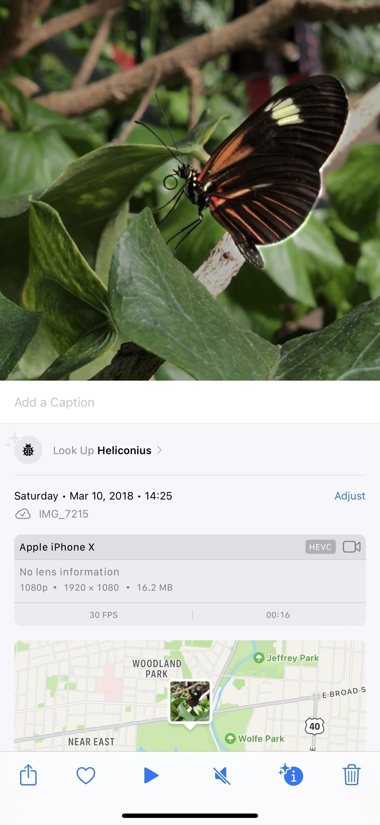 23 New Photo Features for Your iPhone You Need to Know About on iOS 17