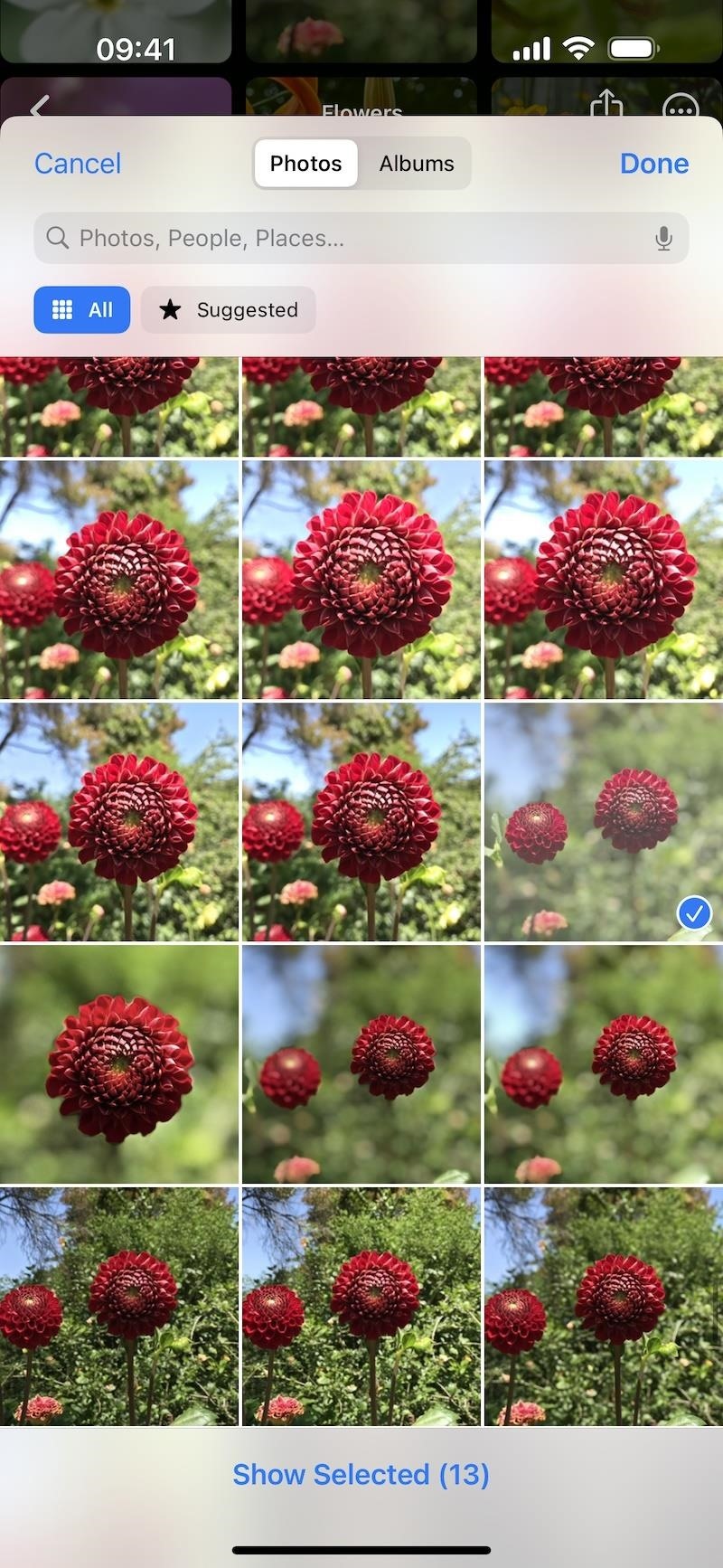 23 New Photo Features for Your iPhone You Need to Know About on iOS 17