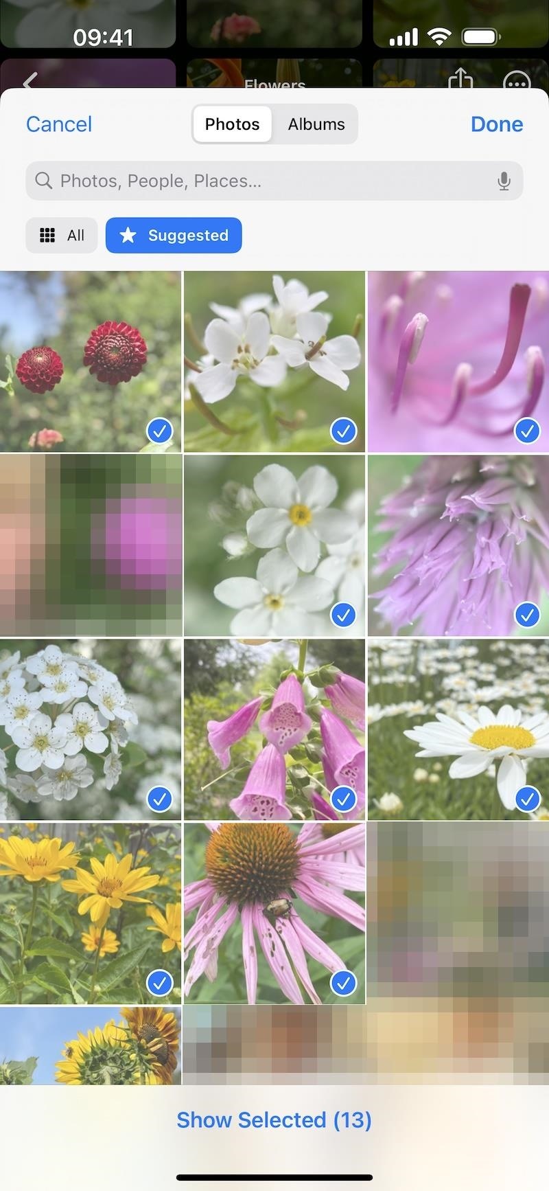 23 New Photo Features for Your iPhone You Need to Know About on iOS 17