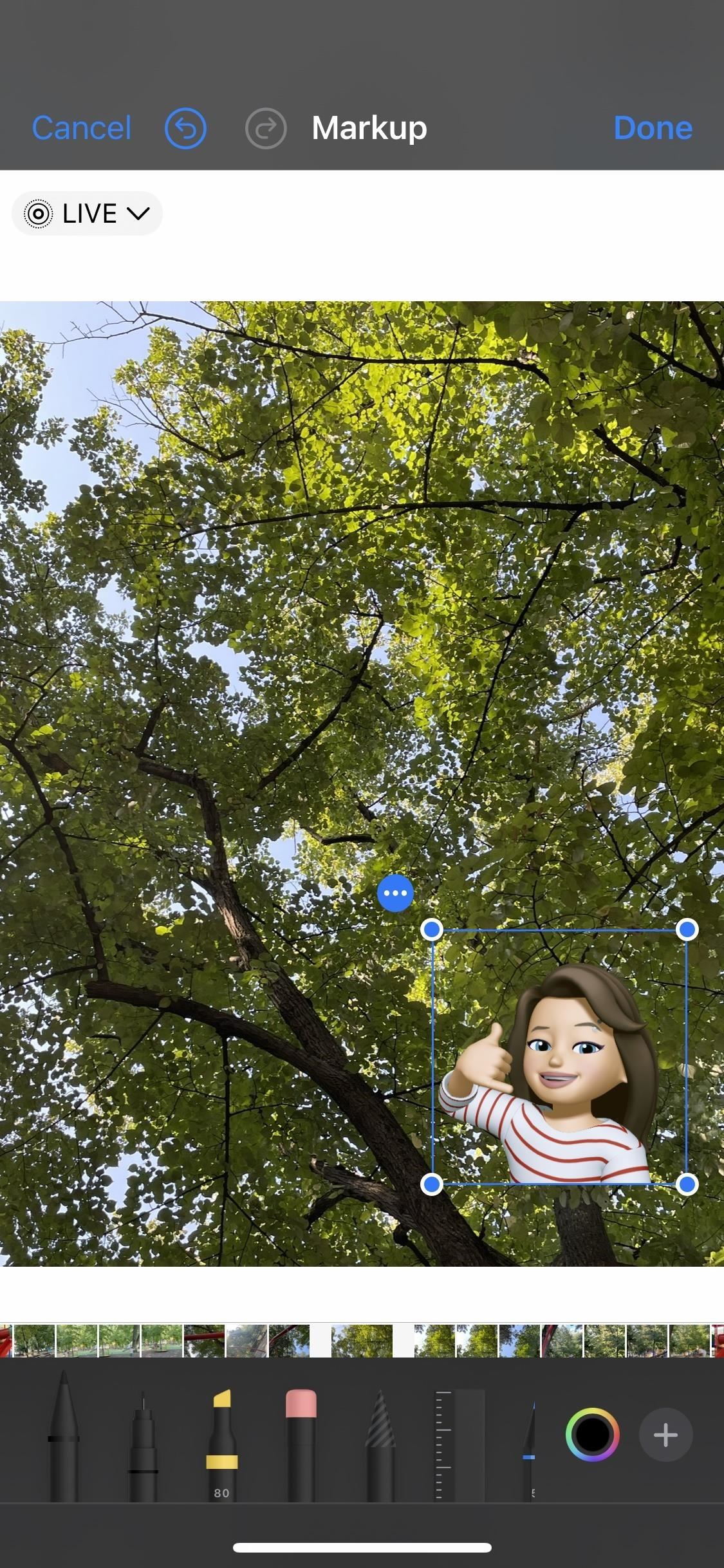 23 New Photo Features for Your iPhone You Need to Know About on iOS 17