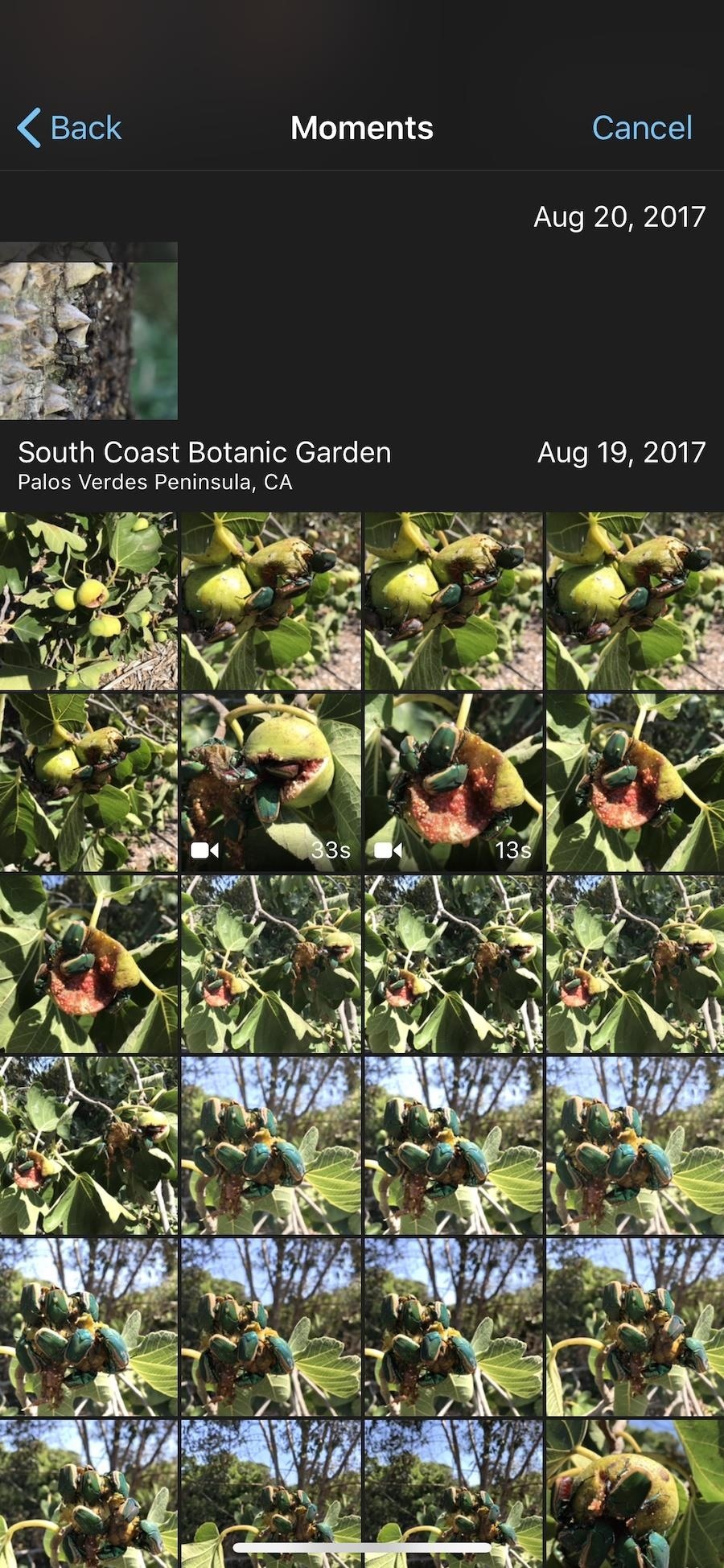 add-more-photos-imovie-projects-your-iphone-w1456-3 How to Add More Photos to iMovie Projects on Your iPhone