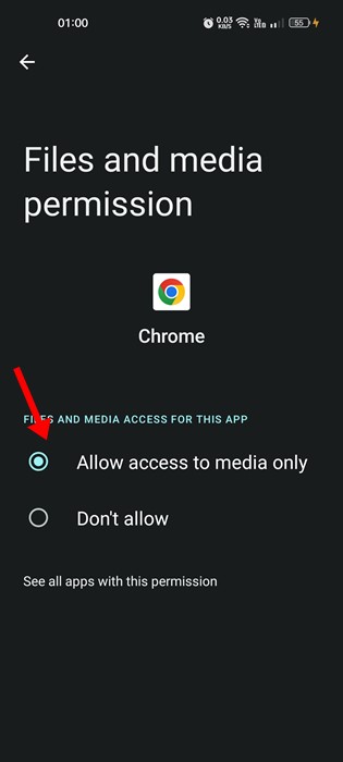 chrome-7 Allow access to media only