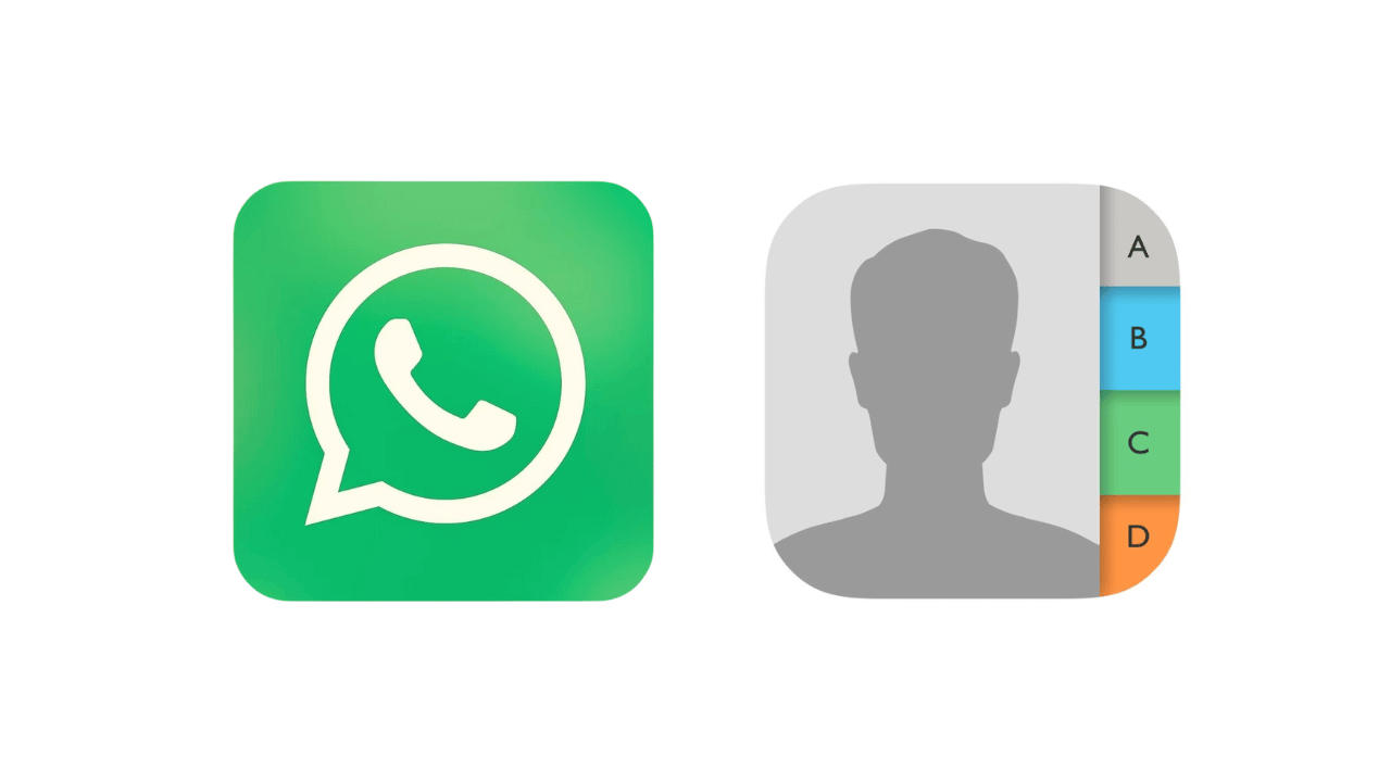 Fix Contacts Not Showing Up on WhatsApp Fix Contacts Not Showing Up on WhatsApp