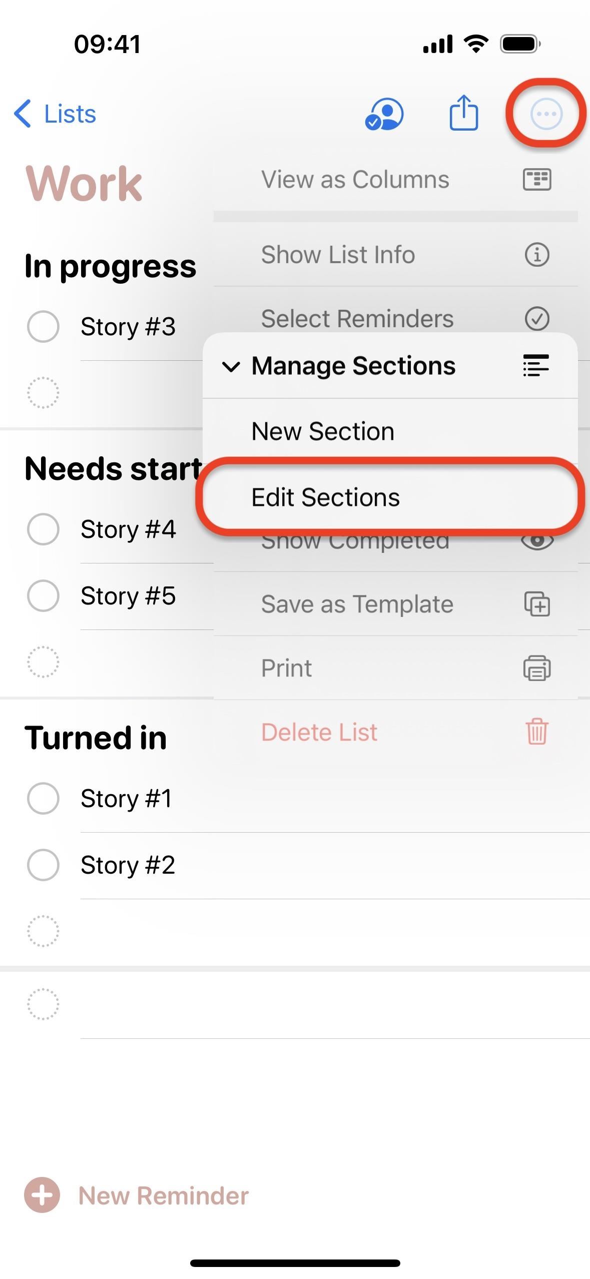 Organize Reminders by Sections and Columns on Your iPhone for More Efficient To-Do Lists