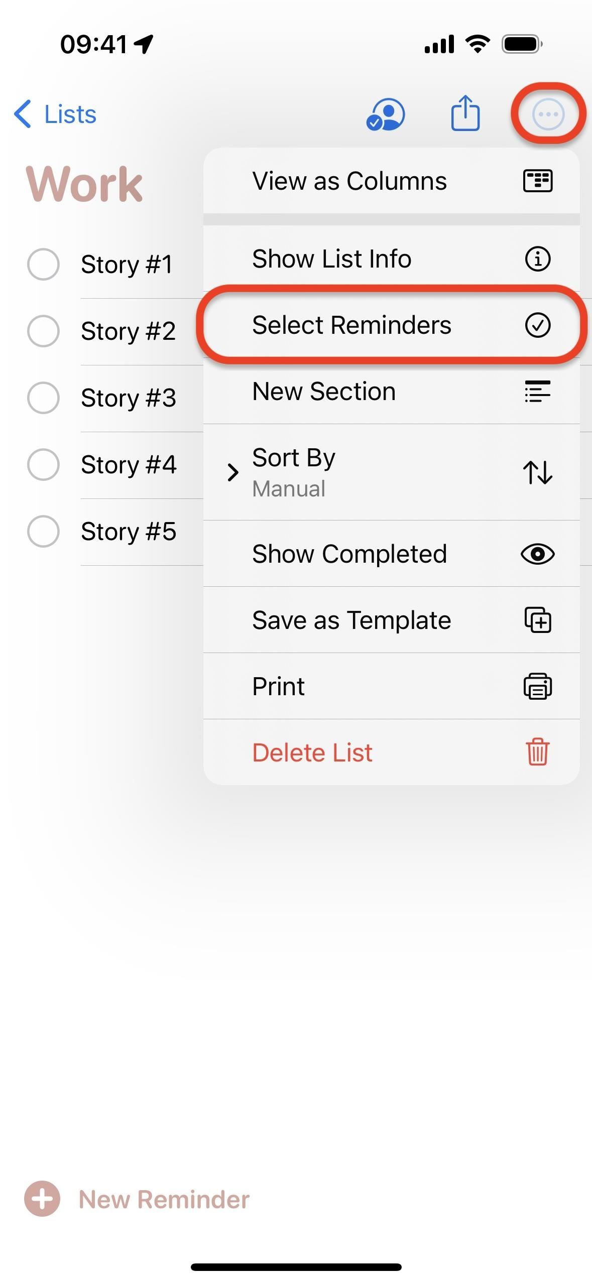 Organize Reminders by Sections and Columns on Your iPhone for More Efficient To-Do Lists