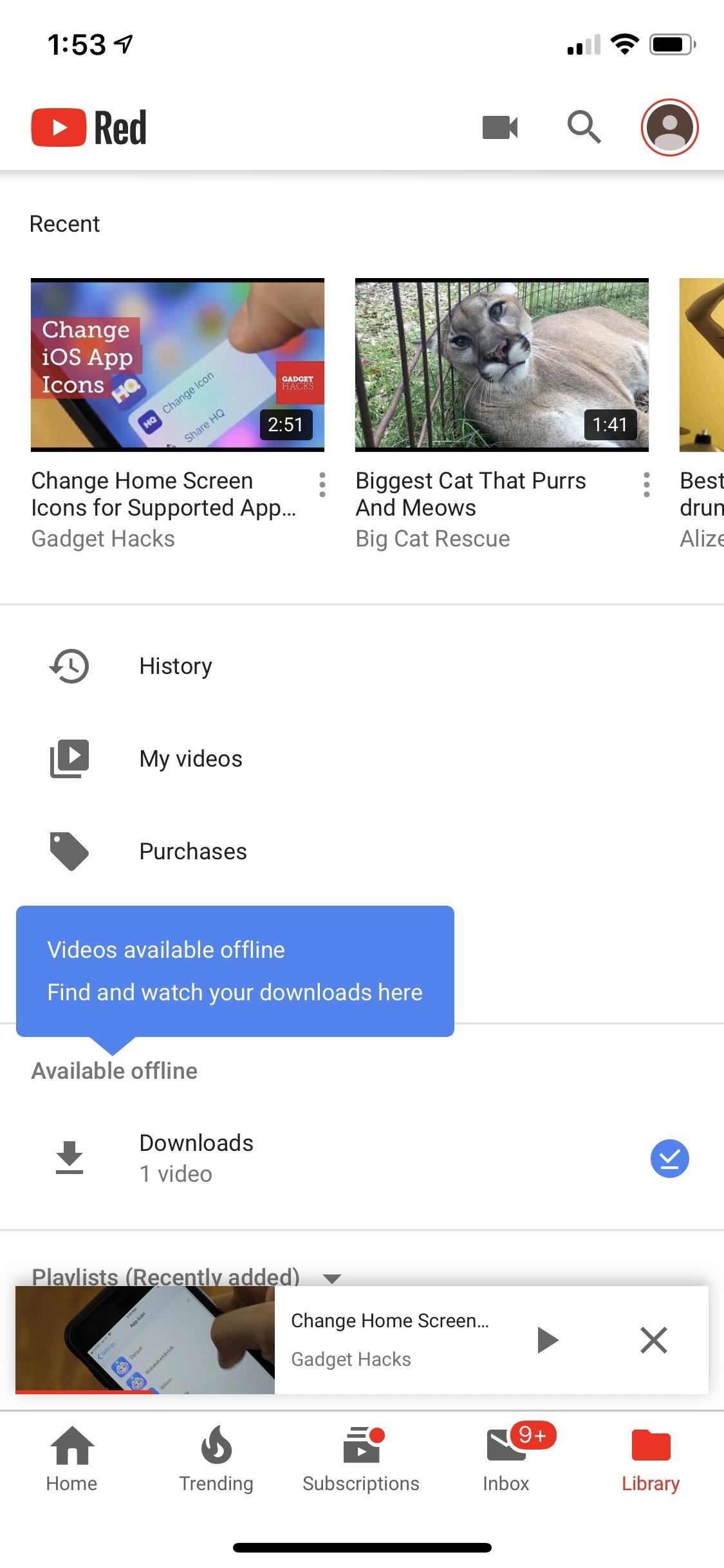 save-youtube-videos-directly-your-iphones-camera-roll-w1456-8 How to Save YouTube Videos Directly to Your iPhone's Camera Roll