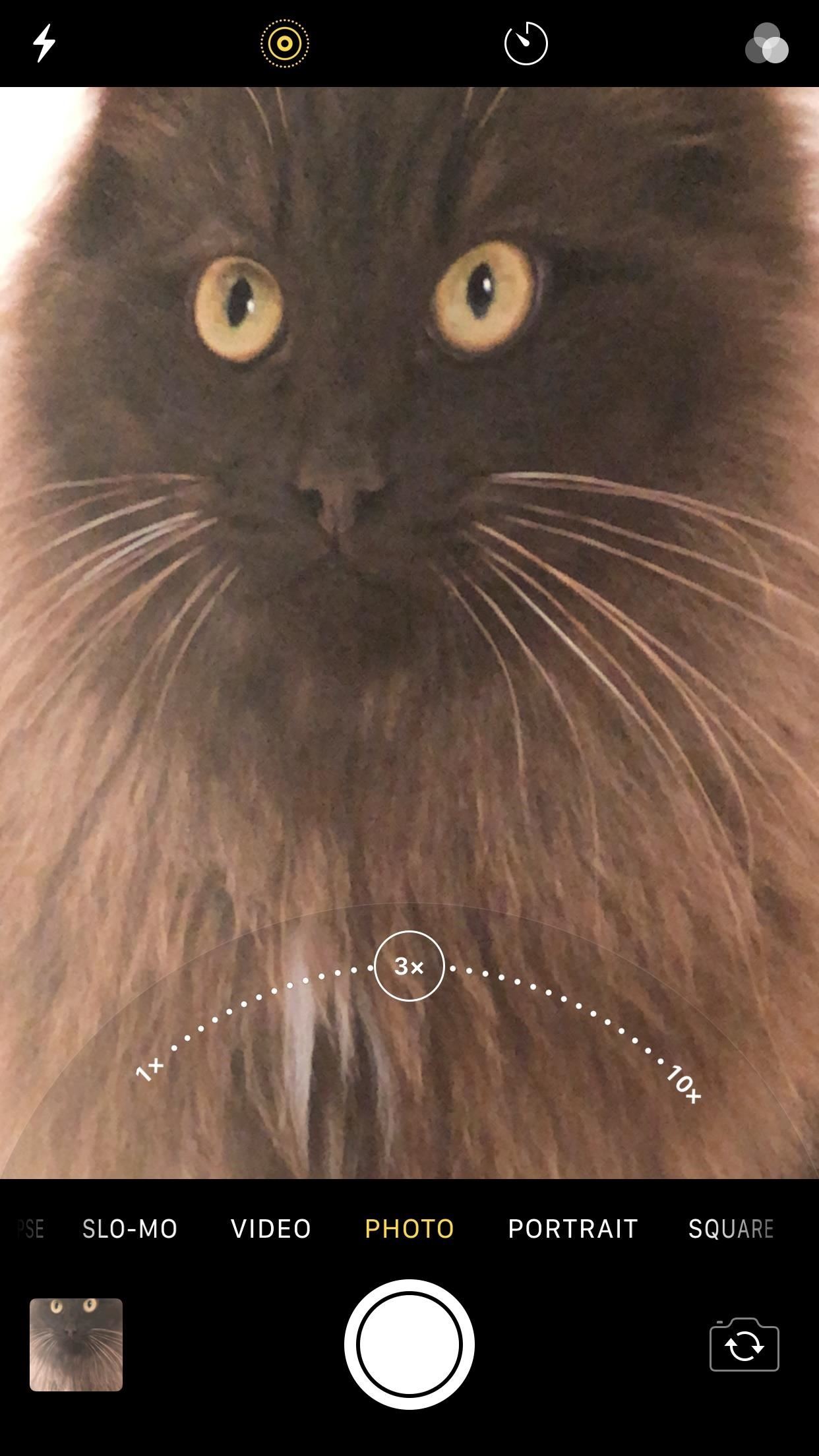 theres-better-way-zoom-with-your-iphones-camera-w1456-5 There's a Better Way to Zoom with Your iPhone's Camera