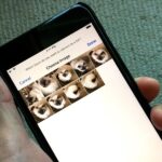 Apple Music: How to Switch Account Privacy on iPhone
