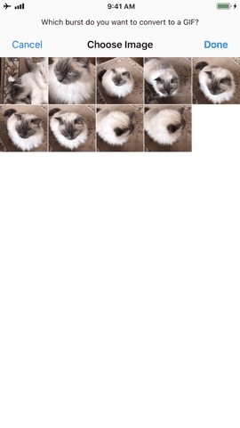 turn-burst-photos-into-gifs-your-iphone-w1456-6 How to Turn Burst Photos into GIFs on Your iPhone