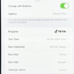 Prevent iPhone Apps from Reverting to Apple’s After Reboot in iOS 14