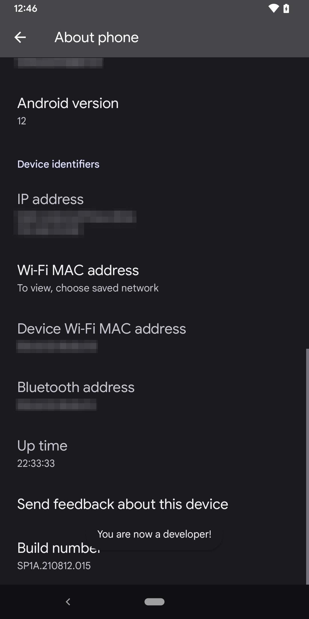 unlock-android-12s-developer-options-your-pixel-for-powerful-hidden-tools-anyone-can-use-w1456-4 How to Unlock Android 12's Developer Options on Your Pixel for Powerful Hidden Tools Anyone Can Use