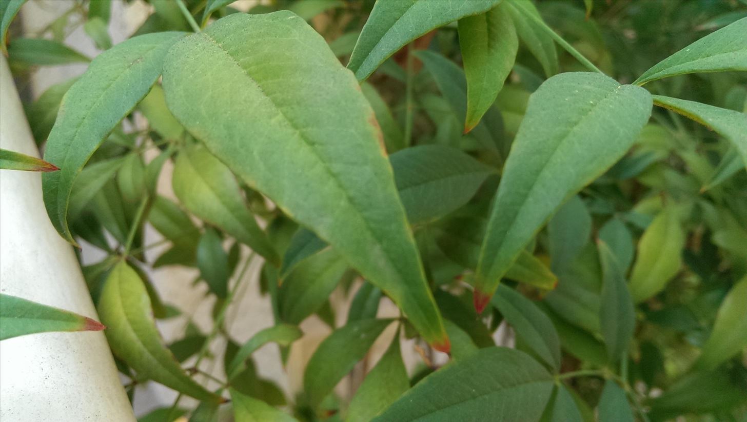 what-every-htc-one-owner-should-know-about-ultrapixel-camera-never-miss-shot-w1456-10 What Every HTC One Owner Should Know About the UltraPixel Camera to Never Miss a Shot