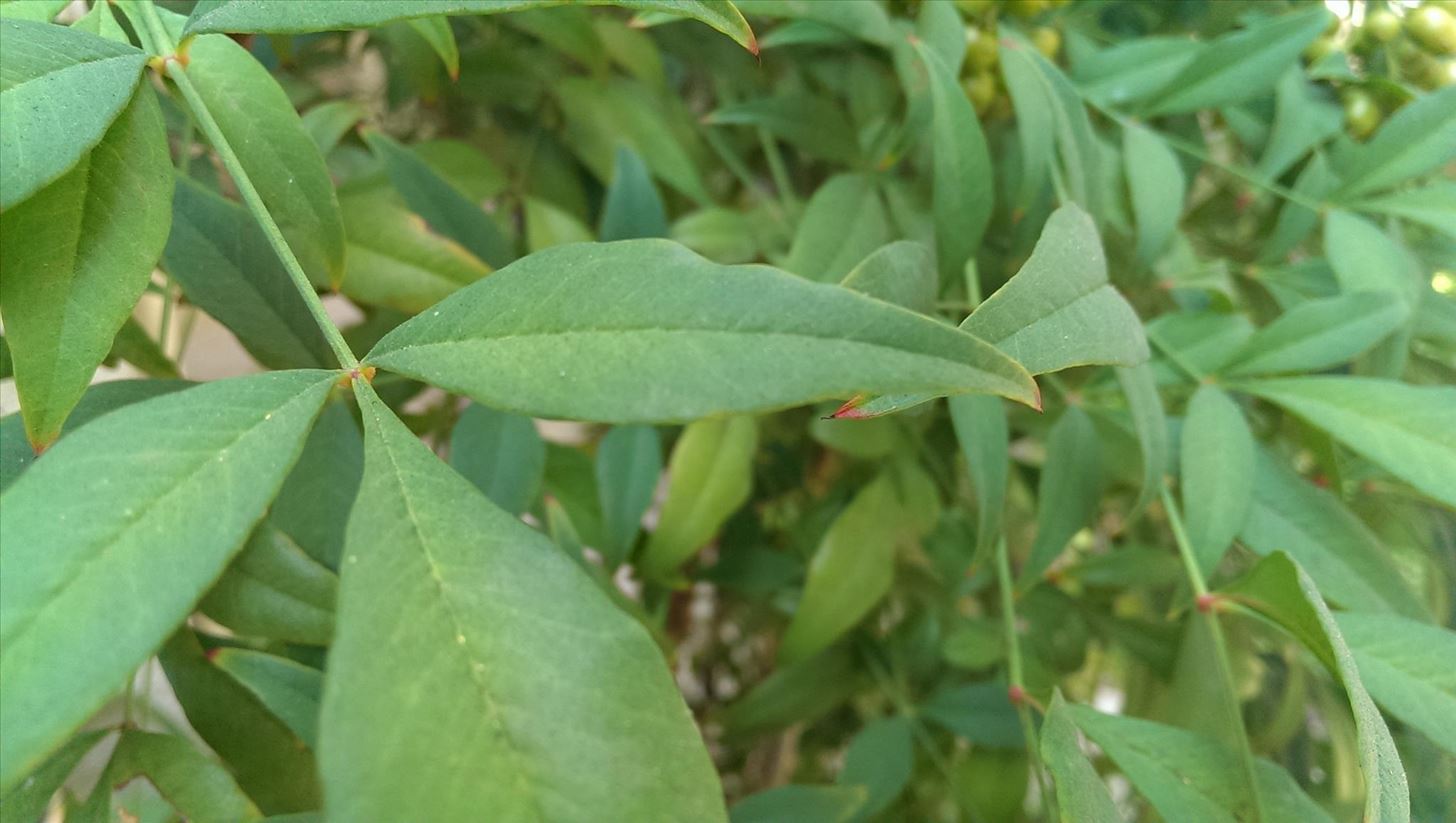 what-every-htc-one-owner-should-know-about-ultrapixel-camera-never-miss-shot-w1456-11 What Every HTC One Owner Should Know About the UltraPixel Camera to Never Miss a Shot