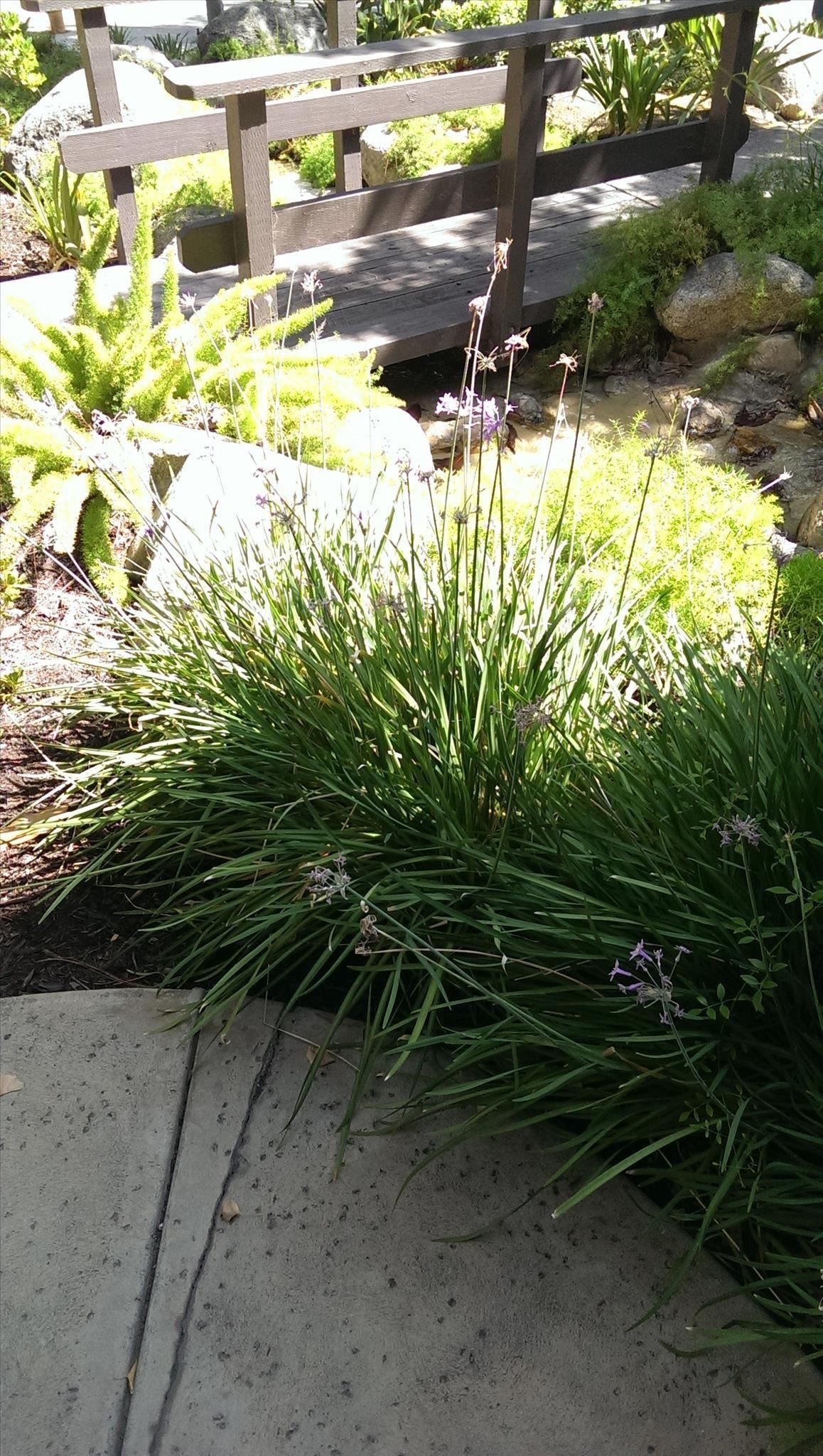 what-every-htc-one-owner-should-know-about-ultrapixel-camera-never-miss-shot-w1456-14 What Every HTC One Owner Should Know About the UltraPixel Camera to Never Miss a Shot