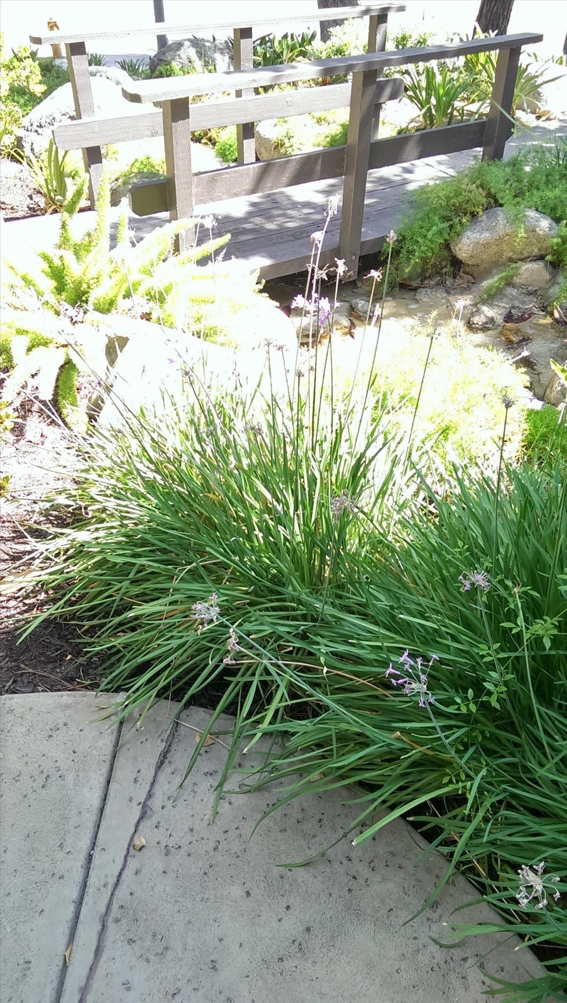 what-every-htc-one-owner-should-know-about-ultrapixel-camera-never-miss-shot-w1456-15 What Every HTC One Owner Should Know About the UltraPixel Camera to Never Miss a Shot