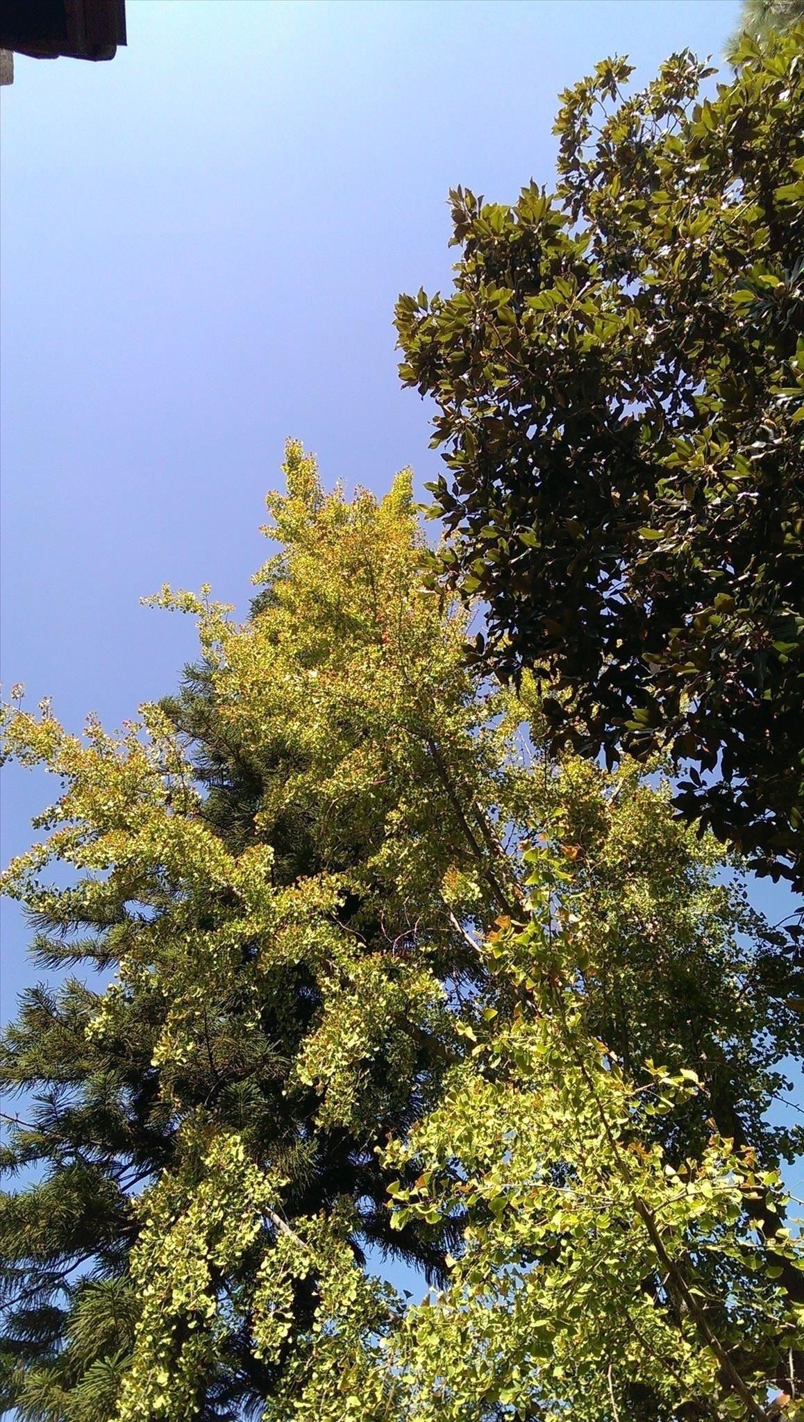 what-every-htc-one-owner-should-know-about-ultrapixel-camera-never-miss-shot-w1456-16 What Every HTC One Owner Should Know About the UltraPixel Camera to Never Miss a Shot