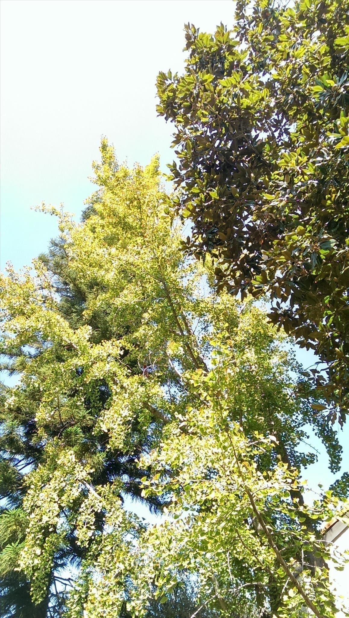 what-every-htc-one-owner-should-know-about-ultrapixel-camera-never-miss-shot-w1456-17 What Every HTC One Owner Should Know About the UltraPixel Camera to Never Miss a Shot