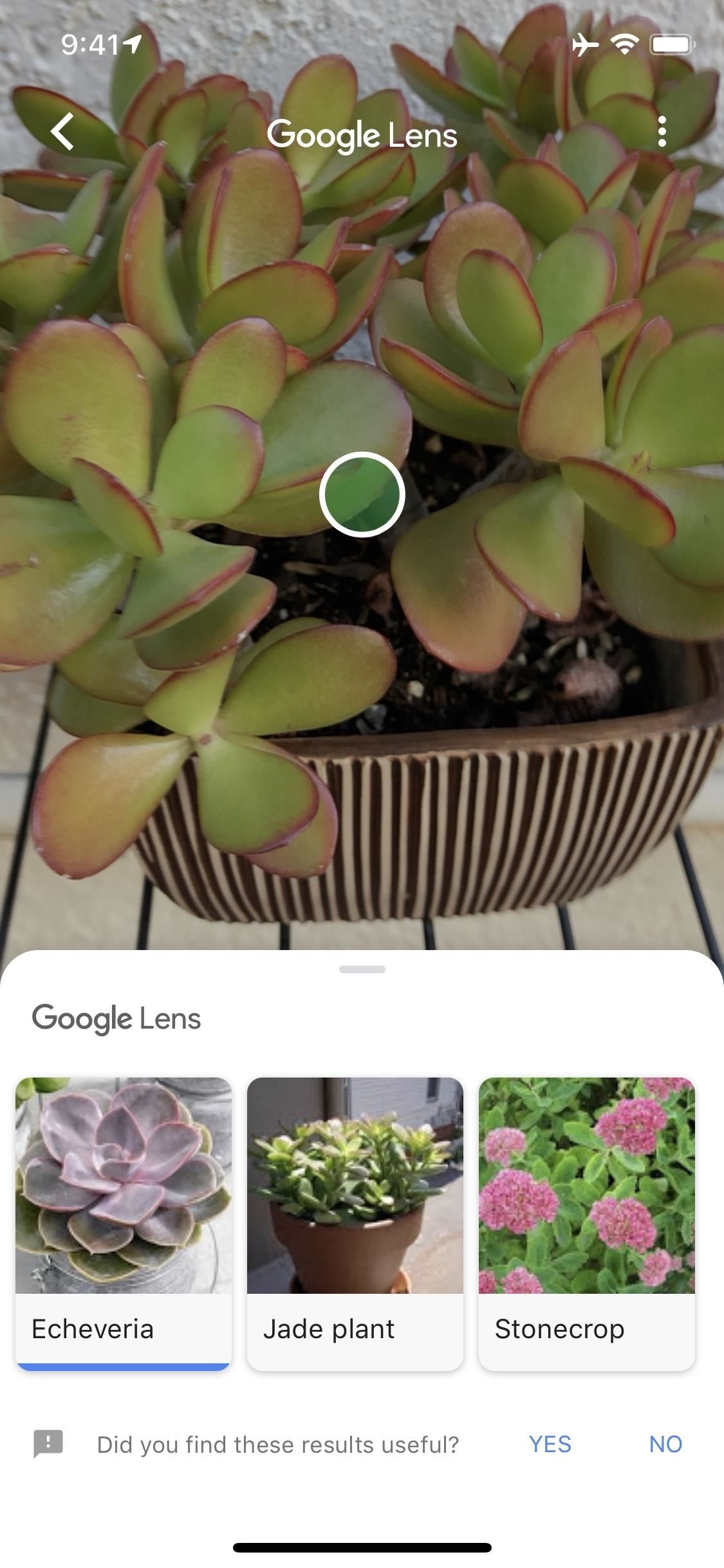 you-really-should-tap-icon-your-iphones-google-app-w1456-11 You Really Should Tap This Icon in Your iPhone's Google App