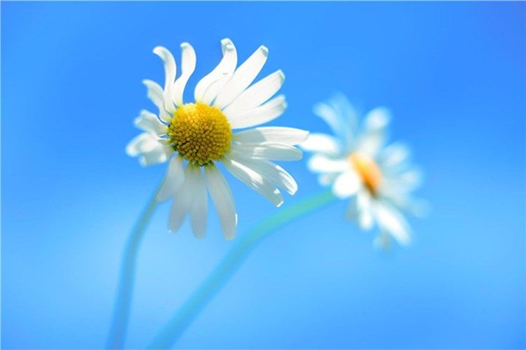 The Windows 8 desktop background.