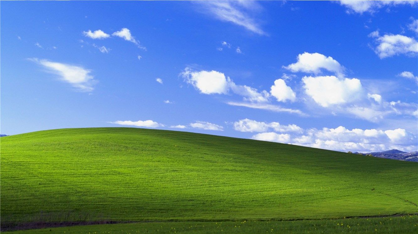 The Windows XP desktop background