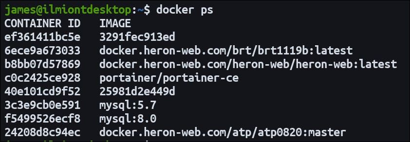Output of the 'docker ps' command.