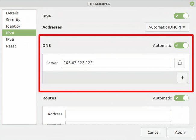 Setting private DNS in Linux Mint