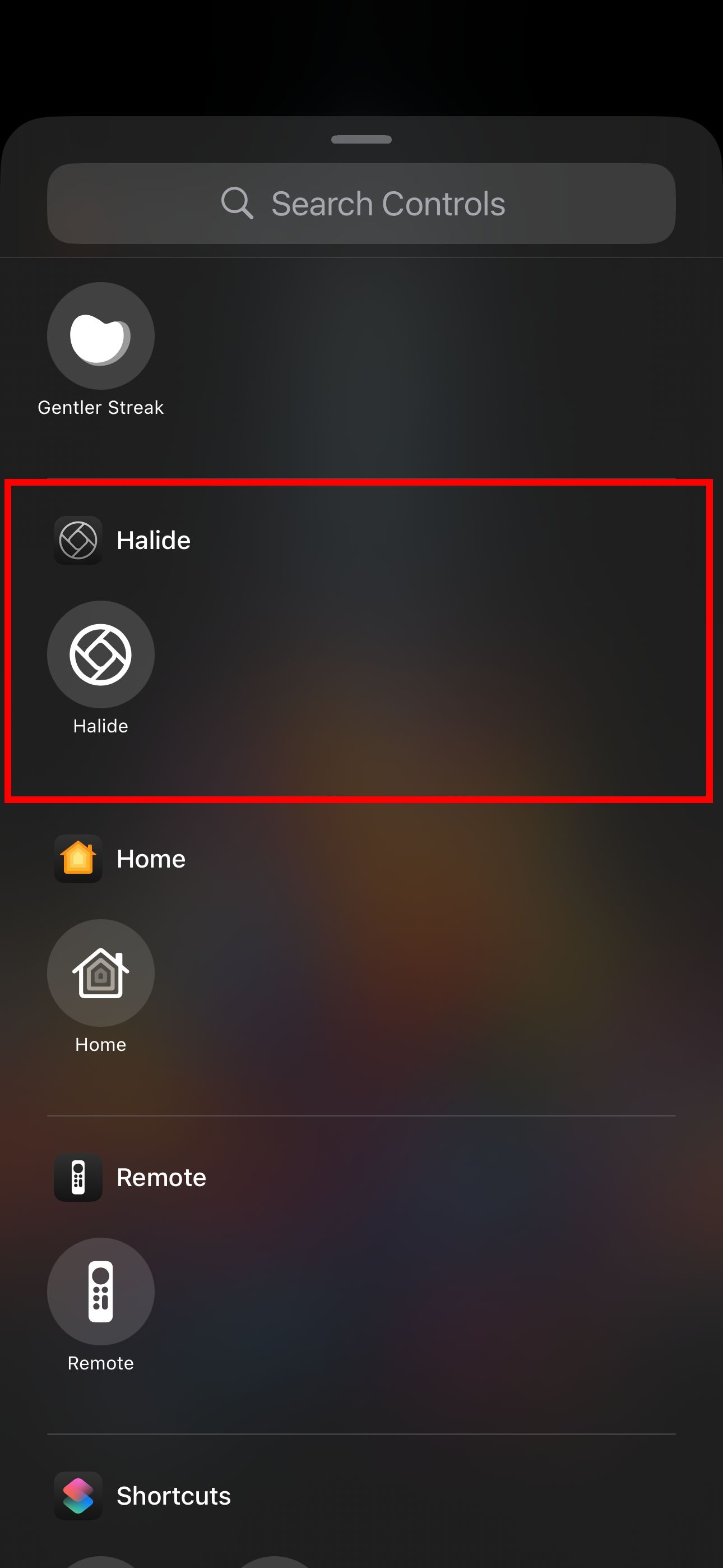 Choosing Halide Camera on iOS 18's control gallery.