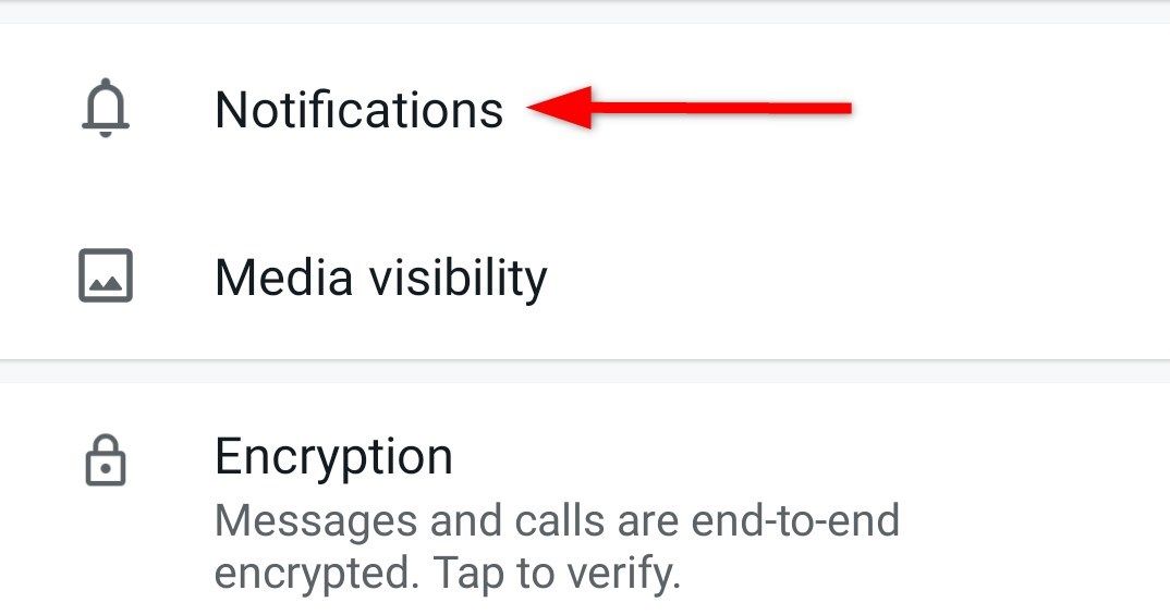 Locating 'Notifications' option in chat contact details.