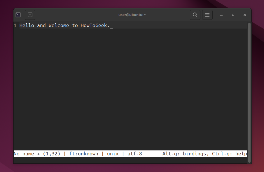 micro text editor interface on Ubuntu terminal.