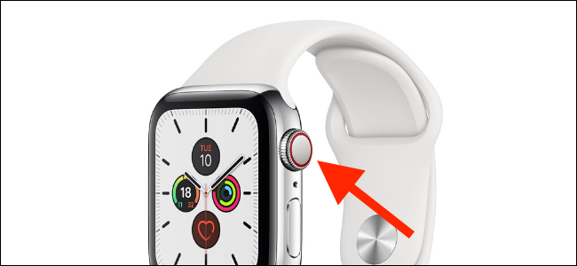 Apple Watch Cellular red dot or ring.