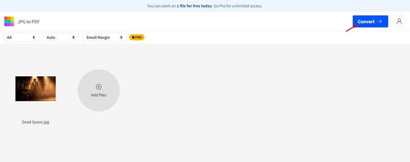click on the Convert button
