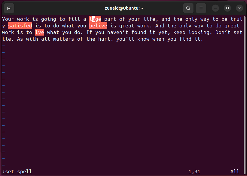 Misspelled words highlighted in the text in Vim.