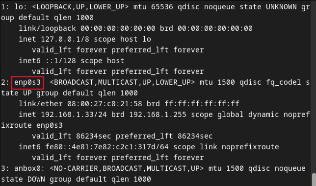 Finding the network interface name.