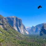 How to Recover a Deleted Photo on Your iPhone or iPad
