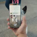 The Best Samsung Galaxy S25 Plus Cases of 2025