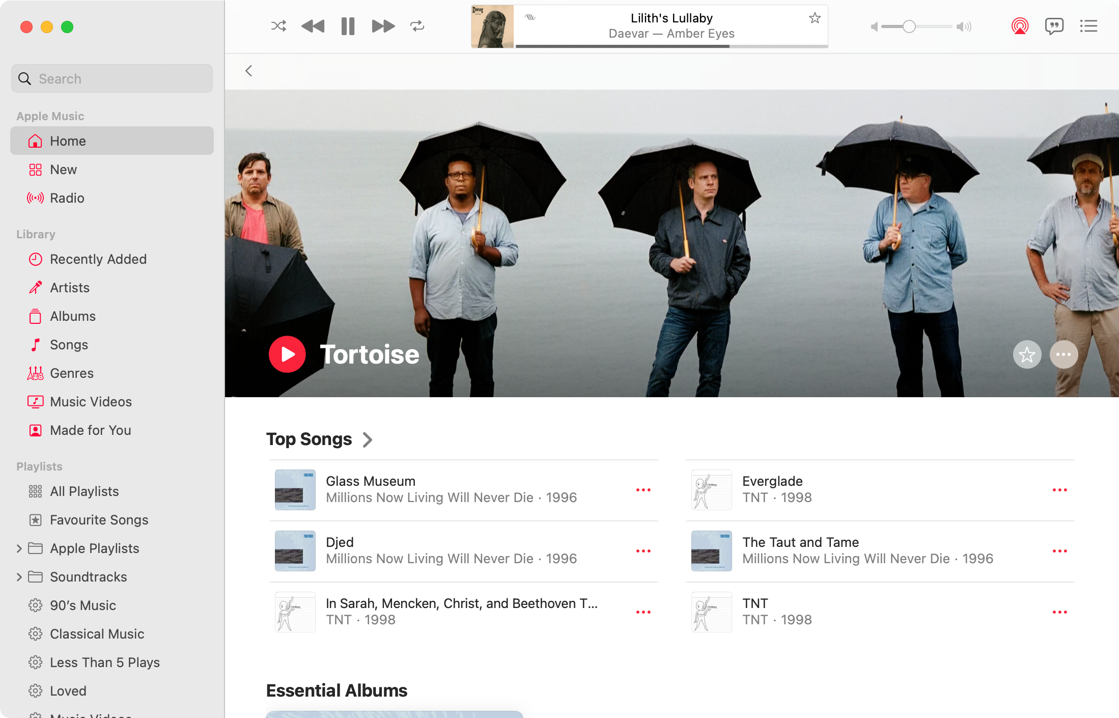 Artist page for Tortoise on Apple Music.