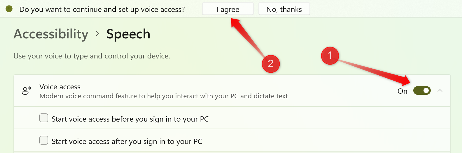Enabling the Voice Access feature in the Settings app on Windows.