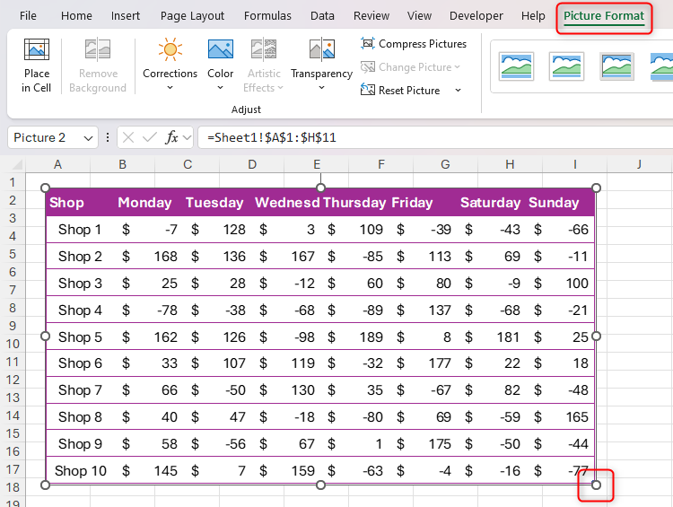 A dataset in Excel duplicated through the Camera tool, with the resizing handle and Picture Format tab highlighted.