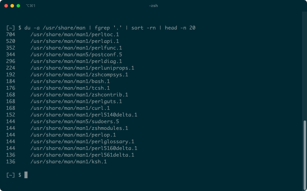 A list of man page files including perltoc.1, perlapi.1, perlfunc.1, and bash.1.