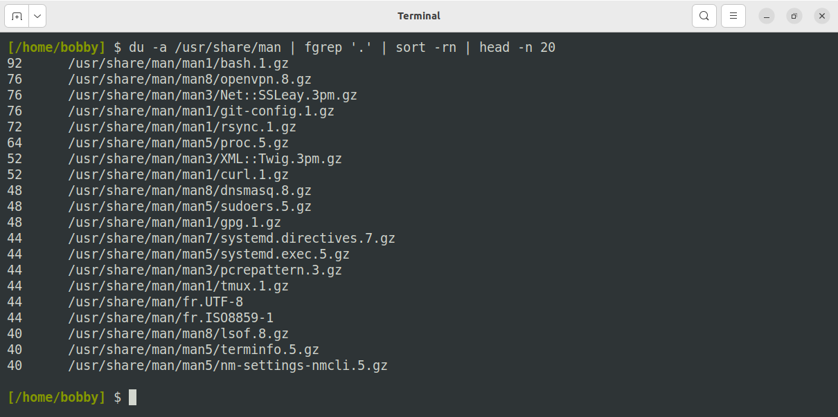 A list of man page files including bash.1.gz, openvpn.8.gz, git-config.1.gz, and proc.5.gz.