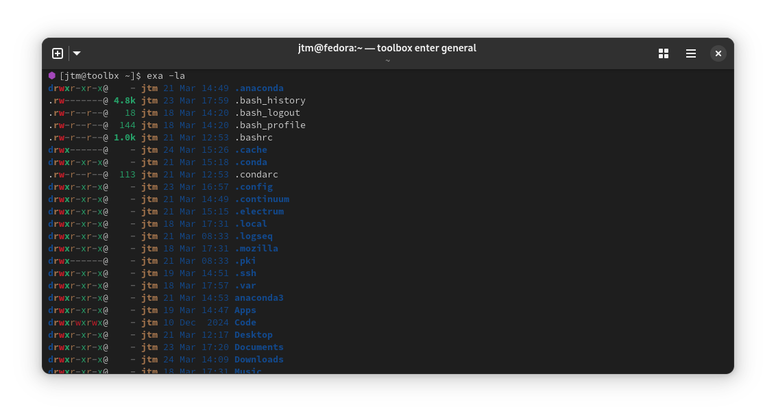 Output from the exa command in a Linux terminal
