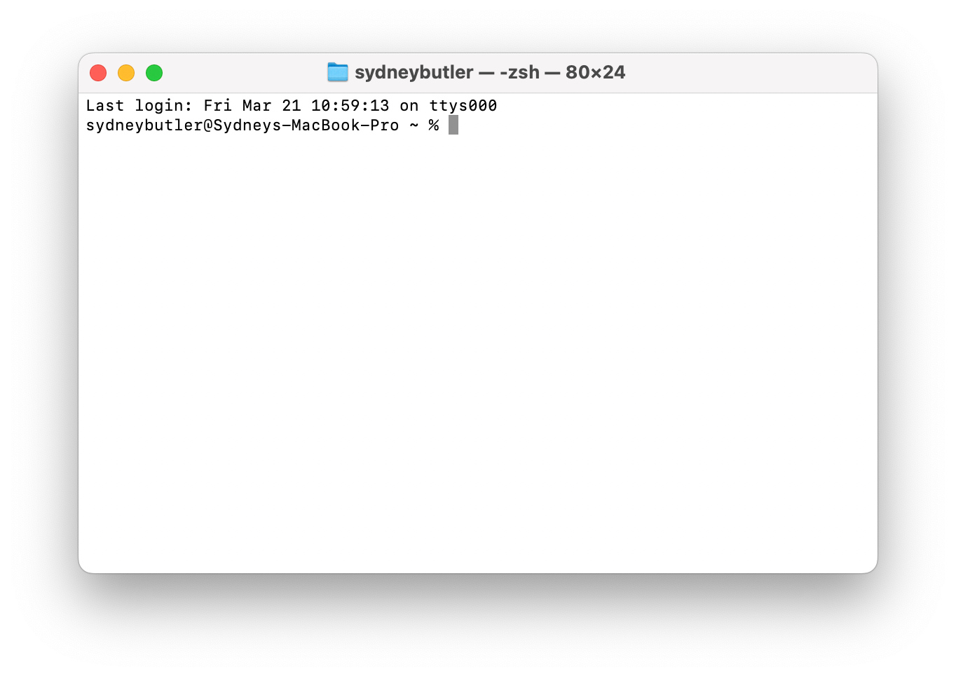 The macOS Terminal window.