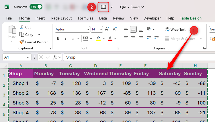 Some Excel data is selected, and the Camera tool in the Quick Access Toolbar is highlighted.