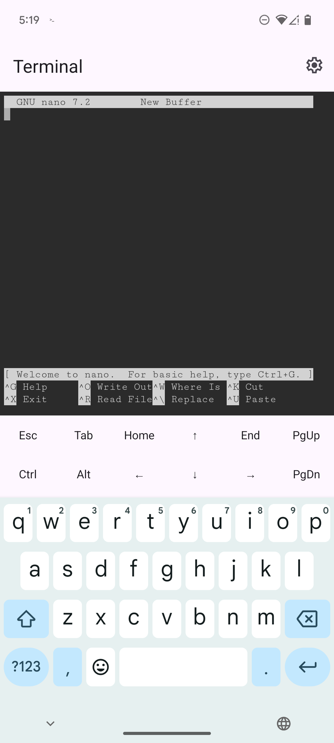 Nano text editor in the Linux Terminal app on a Google Pixel 6.