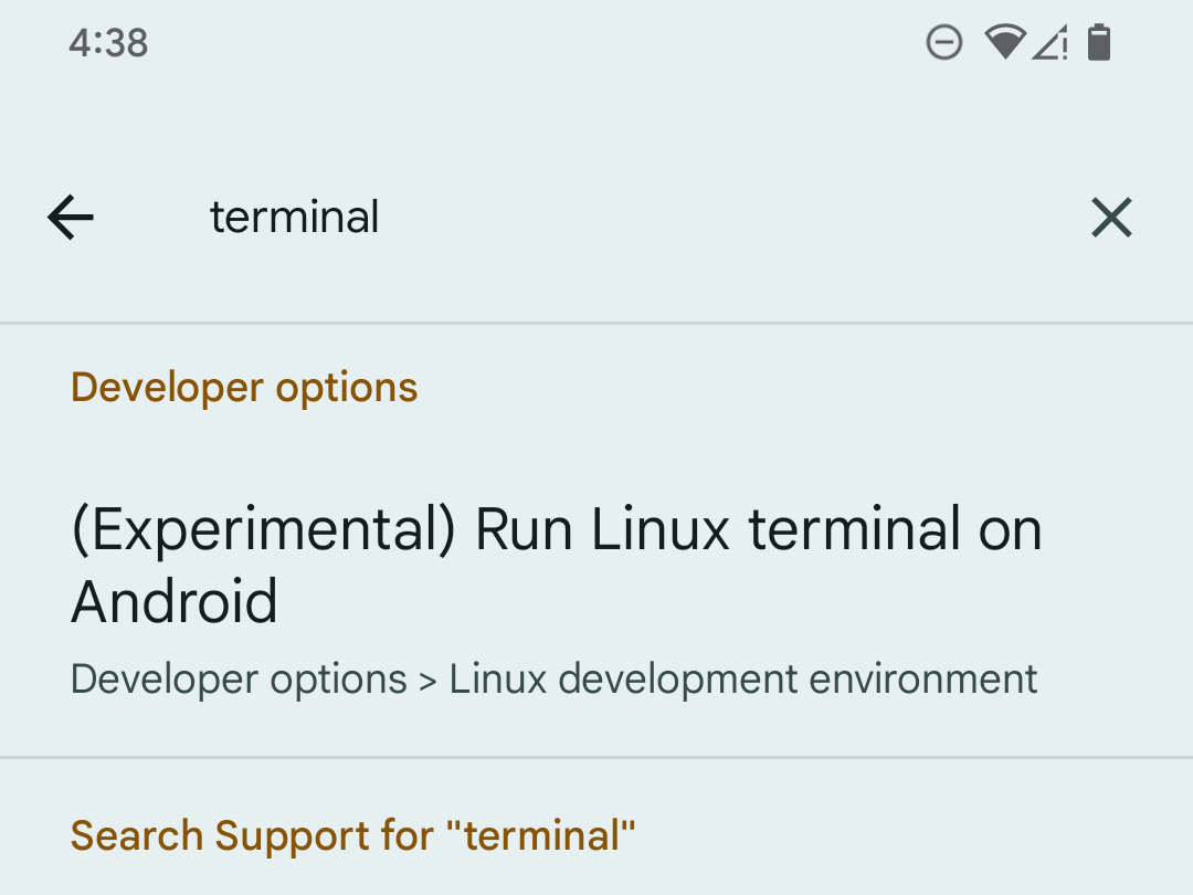 Searching for a terminal about Android developer options on a Pixel.