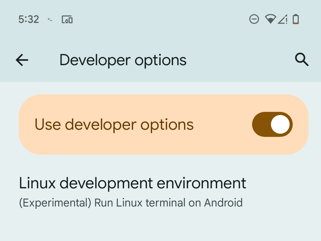 The Linux developer environment option in Android developer options on a Pixel.