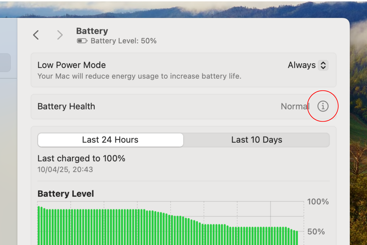 Screenshot of the i button next to Battery Health on macOS.