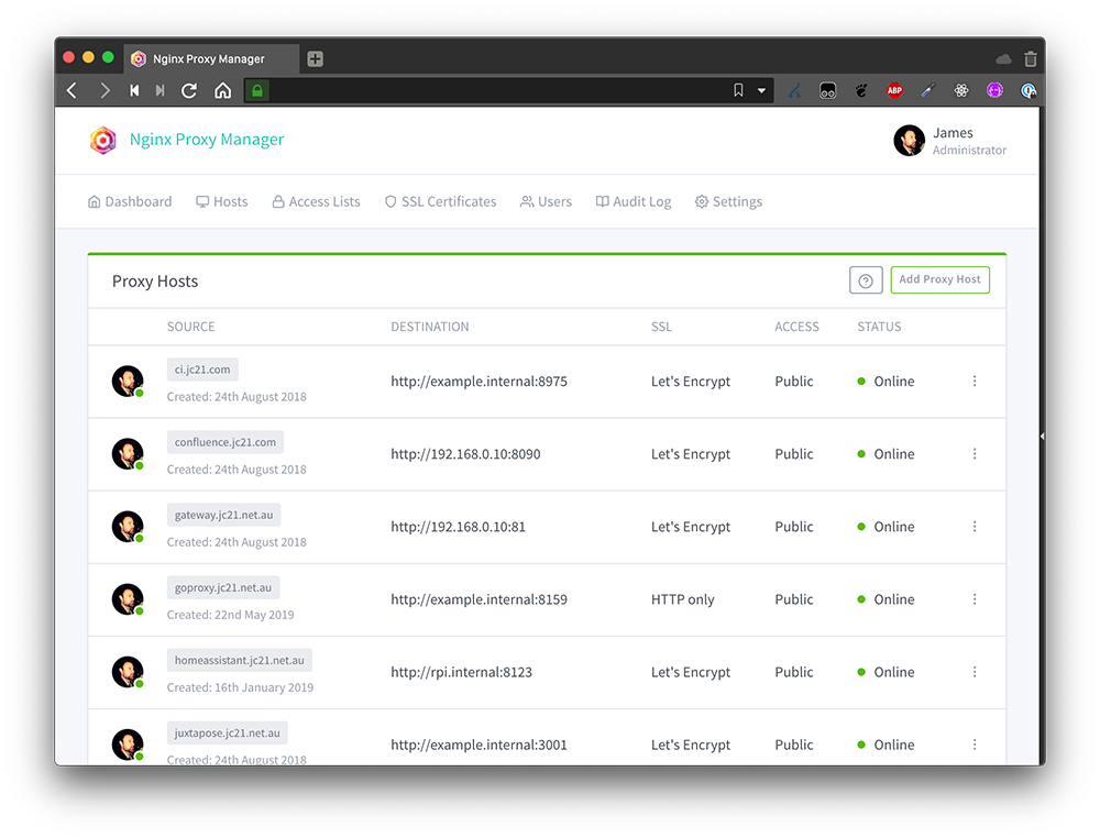 The Nginx Proxy Manager proxy hosts screen showing domains in use by the reverse proxy.